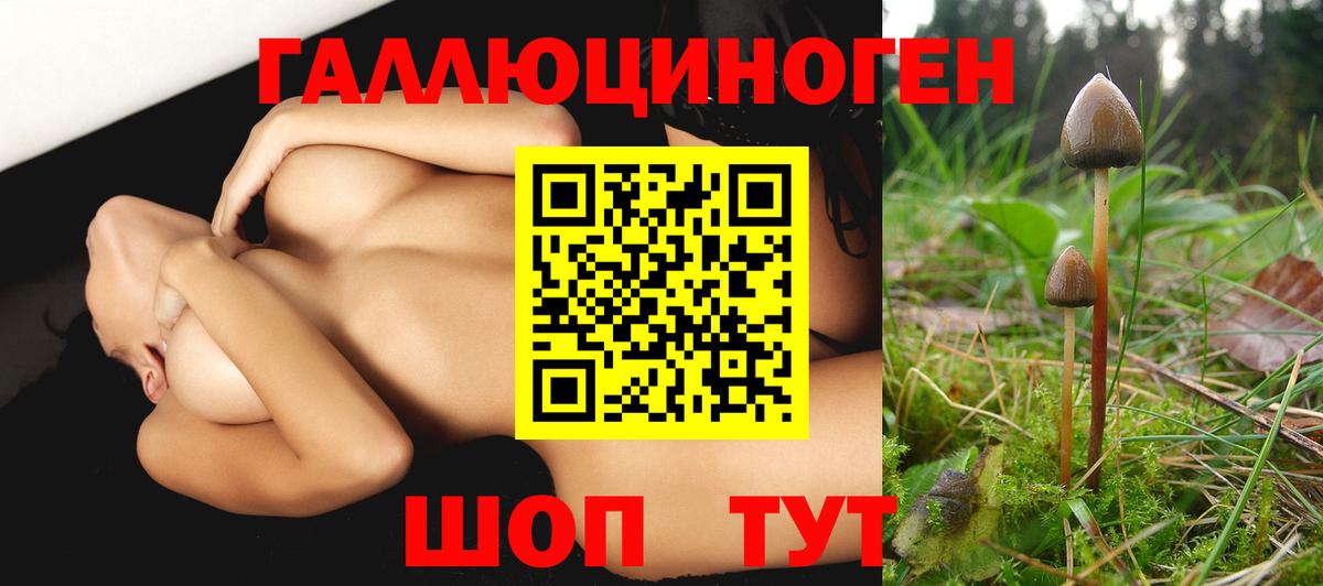 Псилоцибиновые грибы Magic Shrooms  Галлюциногенные грибы прущие грибы  как найти   Саранск  Вход с VPN 