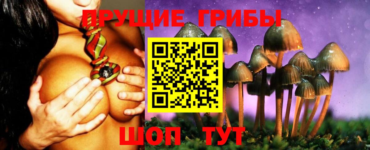 Псилоцибиновые грибы Magic Shrooms Саранск